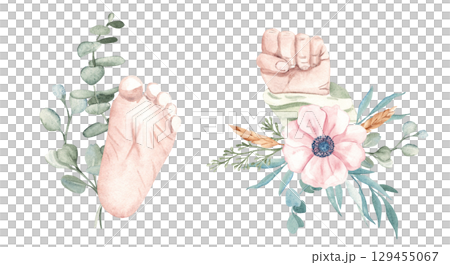 Baby shower composition. Newborn Baby Hand, Child Fist with anemone flower bouquet isolated on a white background. For Gender Party, its a girl Cards and Invitations. 129455067