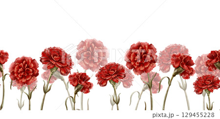 Red carnation flower in a seamless border as a symbol of the Portuguese revolution on April 25,1974,symbol of freedom from totalitarian regime in the state Isolated Watercolor clipart in vintage style 129455228