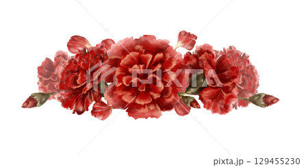 Red carnation flower in horizontal arrangement as a symbol of the Portuguese revolution on April 25,1974,freedom from totalitarian regime in the state Isolated Watercolor clipart in vintage style 129455230