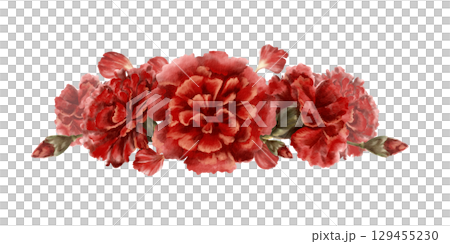 Red carnation flower in horizontal arrangement as a symbol of the Portuguese revolution on April 25,1974,freedom from totalitarian regime in the state Isolated Watercolor clipart in vintage style 129455230
