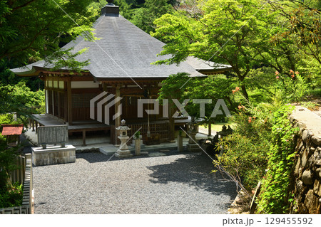 光瀧寺(本堂)　　【大阪府河内長野市】 129455592