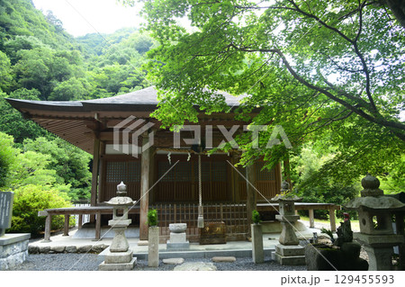 光瀧寺(本堂)　　【大阪府河内長野市】 129455593