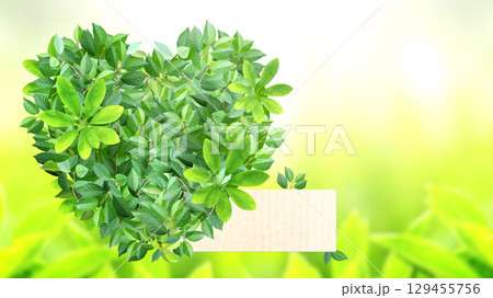 Heart from green leaves and label from recycled paper on sunny background. Love of nature. Reuse, renewable resources. Eco-friendly, Ecology, go green, zero waste, responsible consumption concept 129455756