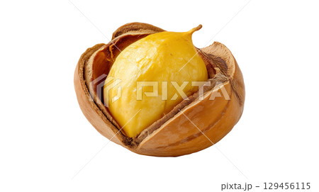 A single roasted chestnut cracked open, a traditional autumn and Christmas snack A single roasted chestnut cracked open, a traditional autumn and Christmas snack 129456115