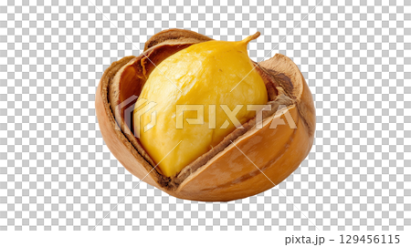 A single roasted chestnut cracked open, a traditional autumn and Christmas snack A single roasted chestnut cracked open, a traditional autumn and Christmas snack 129456115