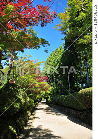 蛇腹道(高野山壇上伽藍)　【和歌山県高野町】 129456315