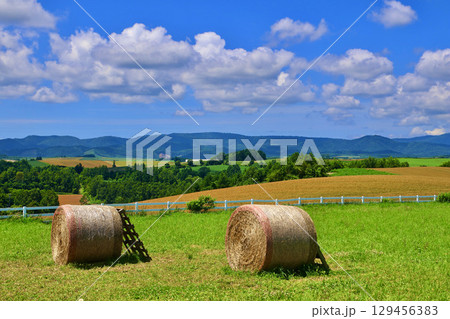 新栄の丘展望公園（北海道・美瑛町） 129456383
