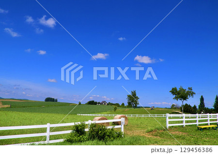 新栄の丘展望公園（北海道・美瑛町） 129456386