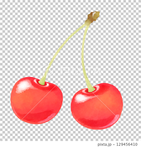 さくらんぼのイラスト さくらんぼのイラスト 129456410