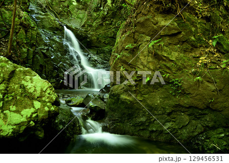 尼滝(滝畑四十八滝)　【大阪府河内長野市】　 129456531
