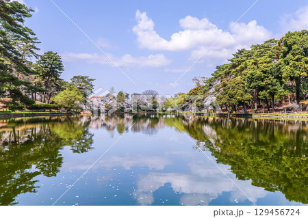 水鏡を見る春の大宮公園舟遊池 129456724