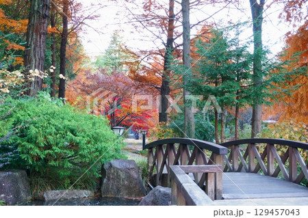 久屋大通庭園フラリエ 紅葉に囲まれた木製の橋 久屋大通庭園フラリエ 紅葉に囲まれた木製の橋 129457043