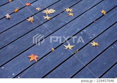 久屋大通庭園フラリエ　床に落ちた紅葉 129457046