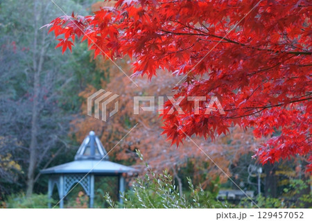 久屋大通庭園フラリエ ガゼボと紅葉 久屋大通庭園フラリエ ガゼボと紅葉 129457052