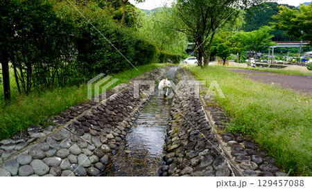 鳴淵ダムの小川や水路 鳴淵ダムの小川や水路 129457088