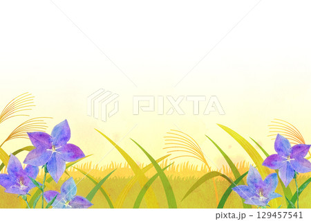 背景素材　ススキと桔梗の風景　秋イメージ 129457541