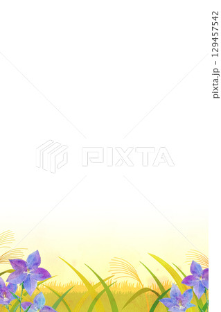 背景素材　ススキと桔梗の風景　秋イメージ 129457542