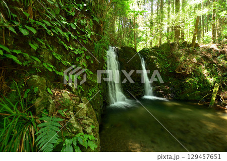 夫婦滝(滝畑四十八滝)　【大阪府河内長野村】 129457651