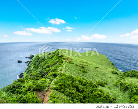 宮古崎 ササントウ（鹿児島県 奄美大島） 129458252