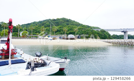 愛媛県今治市のドルフィンファーム 129458266