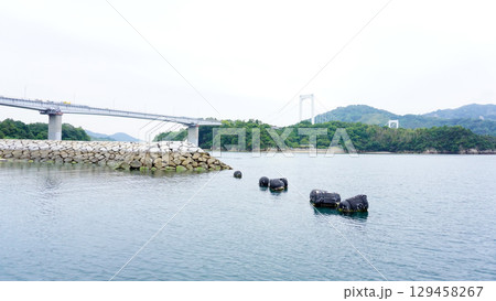 愛媛県今治市のドルフィンファーム 129458267