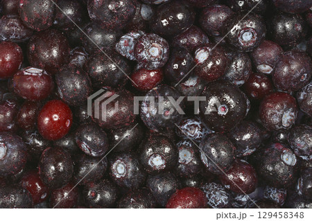 Freshly thawed blueberries Freshly thawed blueberries 129458348