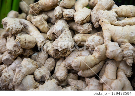 Fresh aroma ginger roots Fresh aroma ginger roots 129458594