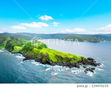 宮古崎 ササントウ（鹿児島県 奄美大島） 129459239