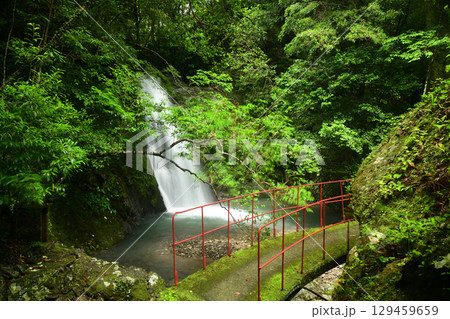 大滝川大滝(御滝) 【和歌山県日高郡日高川町】 大滝川大滝(御滝) 【和歌山県日高郡日高川町】 129459659