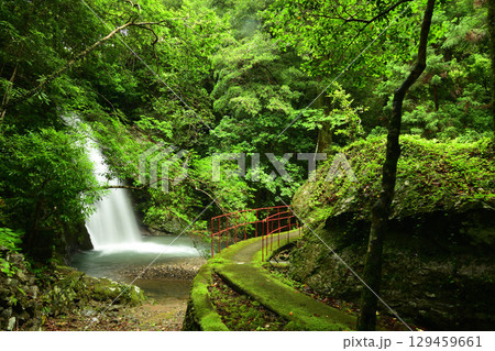 大滝川大滝(御滝) 【和歌山県日高郡日高川町】 大滝川大滝(御滝) 【和歌山県日高郡日高川町】 129459661