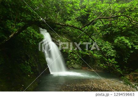 大滝川大滝(御滝) 【和歌山県日高郡日高川町】 大滝川大滝(御滝) 【和歌山県日高郡日高川町】 129459663