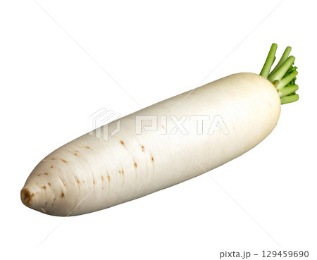 秋の収穫野菜（大根,ダイコン） 129459690