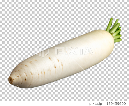 秋の収穫野菜（大根,ダイコン） 129459690