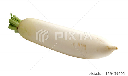 秋の収穫野菜（大根,ダイコン） 129459693