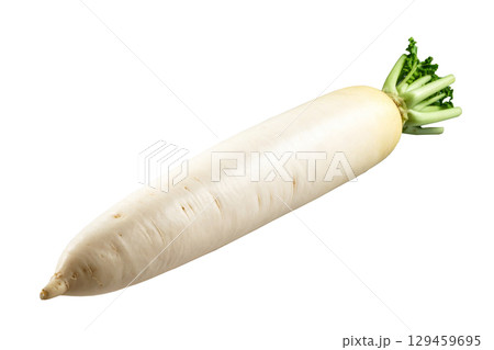 秋の収穫野菜（大根,ダイコン） 129459695