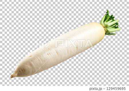 秋の収穫野菜（大根,ダイコン） 129459695