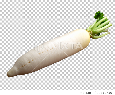 秋收蔬菜（蘿蔔、白蘿蔔） 129459730