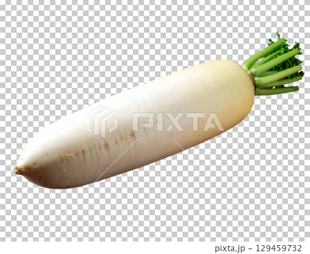 秋收蔬菜(蘿蔔、白蘿蔔) 秋收蔬菜(蘿蔔、白蘿蔔) 129459732