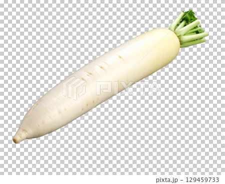 秋の収穫野菜（大根,ダイコン） 129459733
