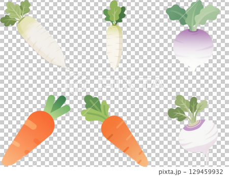 いろいろな野菜のイラストセット 129459932