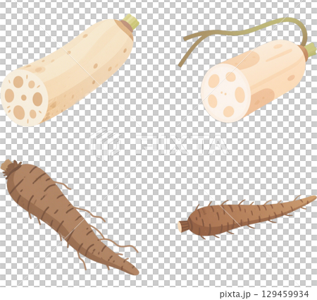 Set of 2 types of root vegetables Set of 2 types of root vegetables 129459934