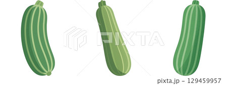 シンプルなズッキーニのイラスト シンプルなズッキーニのイラスト 129459957