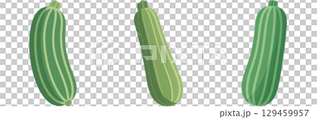 シンプルなズッキーニのイラスト シンプルなズッキーニのイラスト 129459957