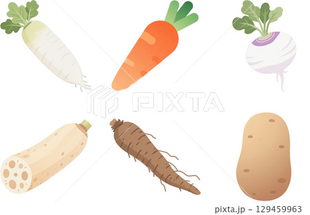 いろいろな野菜のイラストセット 129459963