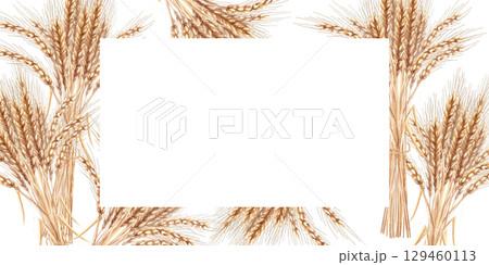 Rectangular frame with ripe wheat ears. Isolated watercolor illustration for interior design, Harvest Festival decoration, printing on kitchen textiles, seasonal menu design. Rectangular frame with ripe wheat ears. Isolated watercolor illustration for interior design, Harvest Festival decoration, printing on kitchen textiles, seasonal menu design. 129460113