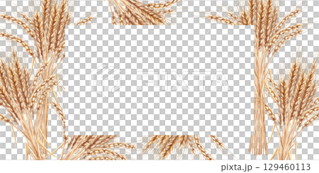 Rectangular frame with ripe wheat ears. Isolated watercolor illustration for interior design, Harvest Festival decoration, printing on kitchen textiles, seasonal menu design. Rectangular frame with ripe wheat ears. Isolated watercolor illustration for interior design, Harvest Festival decoration, printing on kitchen textiles, seasonal menu design. 129460113