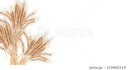 Rectangular frame with sheaves of ripe wheat. Isolated watercolor illustration for interior design, Harvest Festival decoration, printing on kitchen textiles, seasonal menu design. Rectangular frame with sheaves of ripe wheat. Isolated watercolor illustration for interior design, Harvest Festival decoration, printing on kitchen textiles, seasonal menu design. 129460114