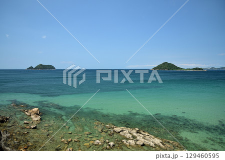 宮代海岸(黒島・鷹島)　【和歌山県広川町】 129460595