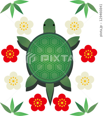 亀のイラスト 129460841