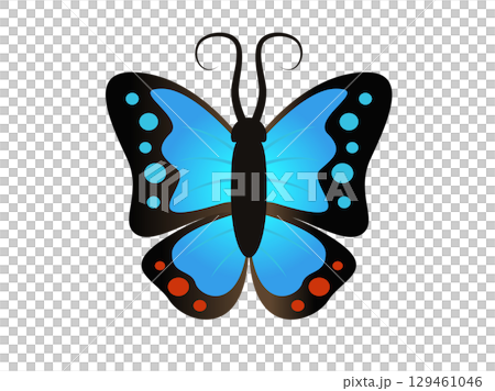 Beautiful winged insect butterfly icon with blue and black morpho wings outspread Beautiful winged insect butterfly icon with blue and black morpho wings outspread 129461046